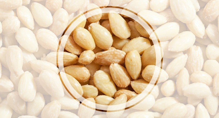 roasted salted blanched almonds
